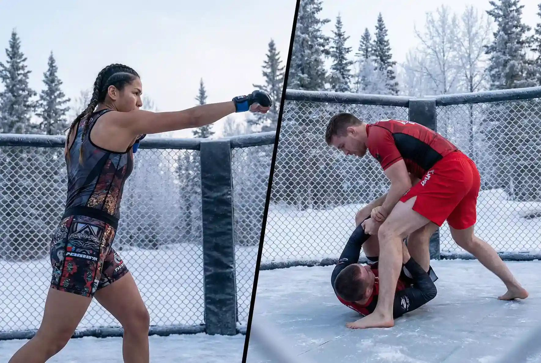 UFC Striker gegen Grappler Kampfstil Matchup
